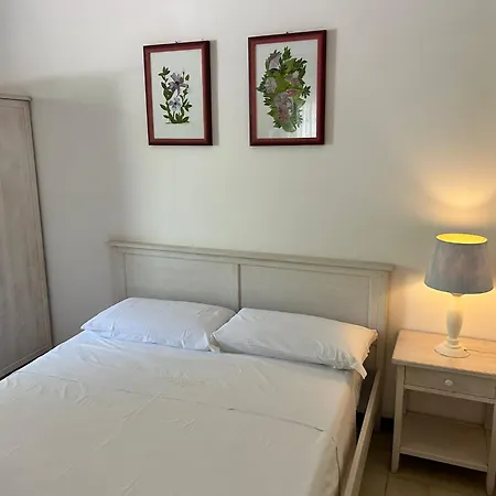 Viola Club Village & База отдыха 3*