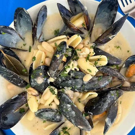 Viola Club Village & 3*