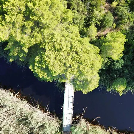 Viola Club Village &