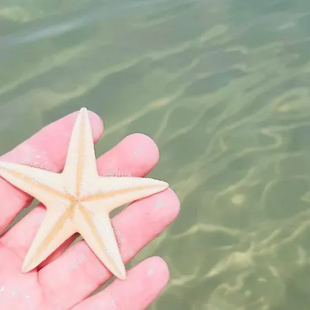 База отдыха Viola Club Village & 3*