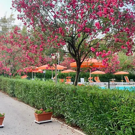 Viola Club Village &