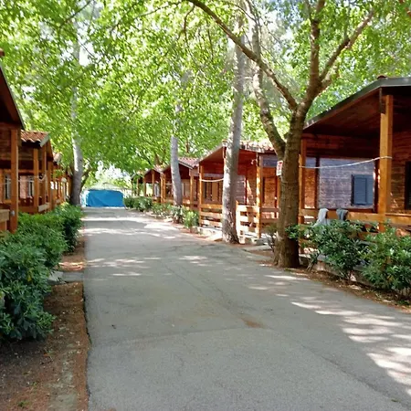Viola Club Village & 3* Фоче-Варано