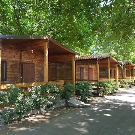 Viola Club Village & База отдыха 3*