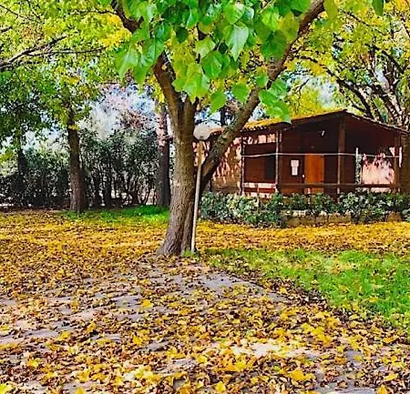 Viola Club Village &