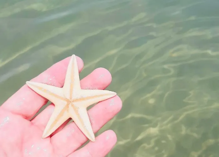 Πάρκο διακοπών Viola Club Village & 3*