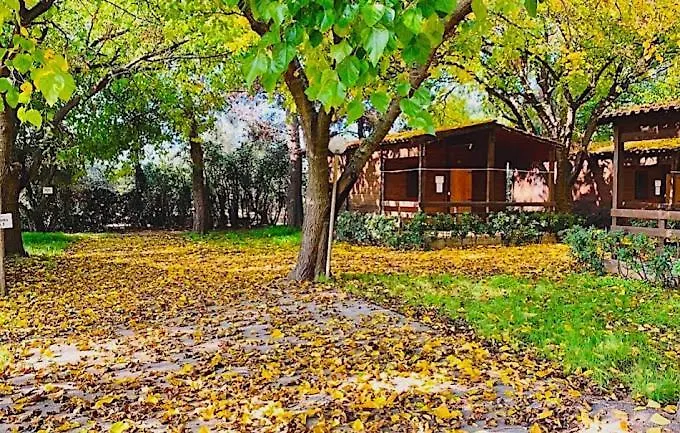 Viola Club Village &