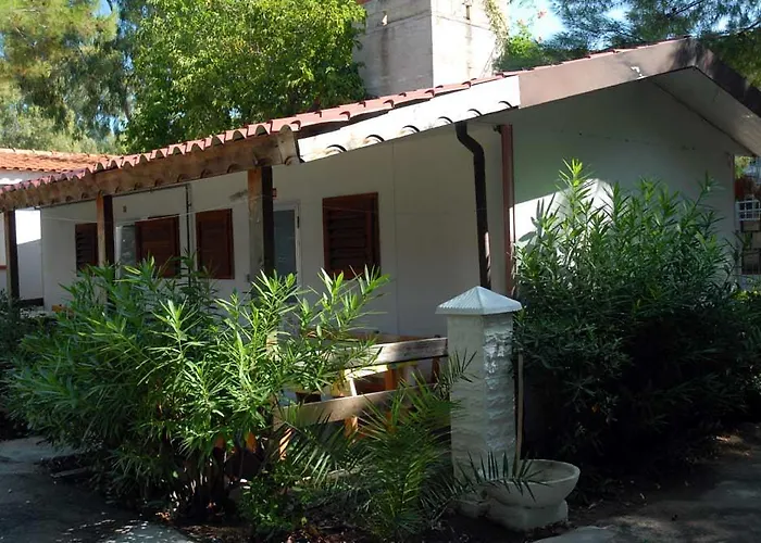 Viola Club Village &