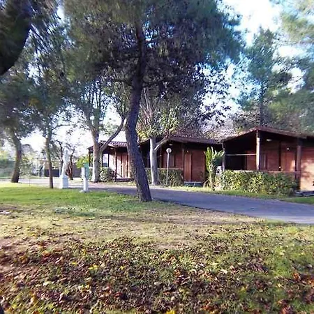 Viola Club Village & Foce Varano